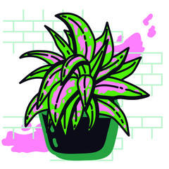 indoor plant cactus in a pot on a light brick wall background