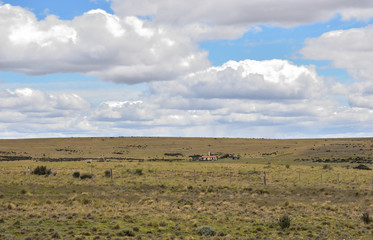 Fototapeta na wymiar Casa solitaria en la estepa patagonica con cielo azul y nubes sobre la colina