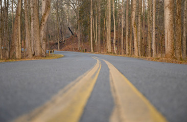 Obraz premium Looking down the double yellow lines on a country road. The tree line road curves off in the distance on a cold winter day.