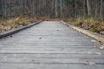 A wooden foot path leads to the woods. A low angle shot. The winter day is cold and gray. A few dead leaves lay on the wood.