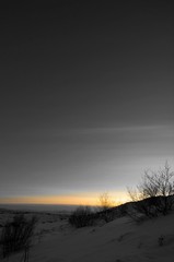 Dark view of snowy ground and silhouette of barren bush during twilight in Iceland