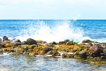 Fototapeta na wymiar Wave crashing rocks covered with sea weed 