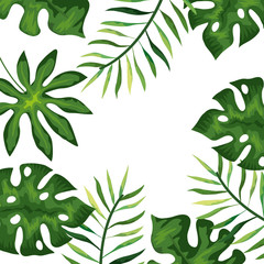 frame with branches and leafs tropicals vector illustration design