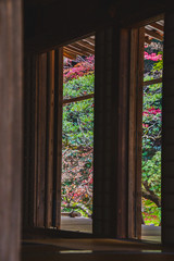 扉、床、畳などを使って秋の風景を切り取った写真 　　南禅院　京都