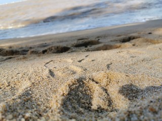 Sand and beach 