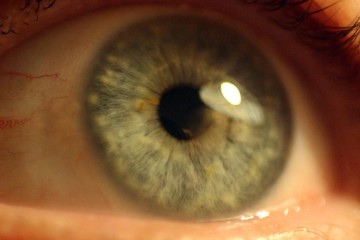 Close up of a blue-gray eye