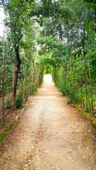 Green covered pathway into a secret garden