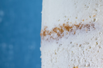 Crumb Coat Frosted Cake Close Up