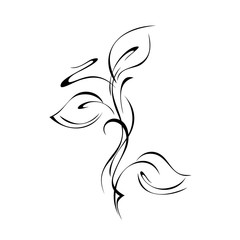 ornament 988. stylized twig with leaves and curls in black lines on a white background