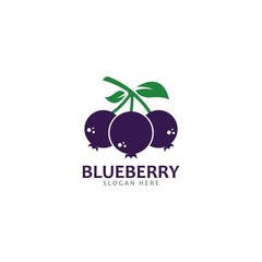 Blueberry logo vector template icon illustration