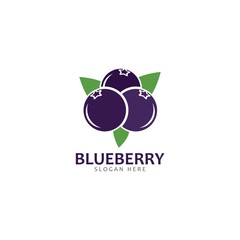 Blueberry logo vector template icon illustration
