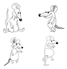 Rat. Graphic drawing. Black and white portrait image of animals. Illustrations for children and adults. Chinese Horoscope 2020. Grand Mouse.