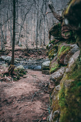 Rocks