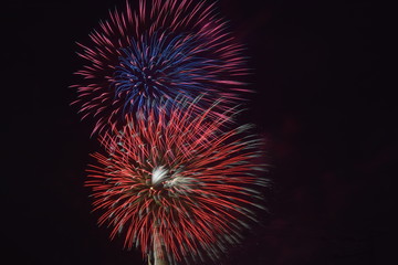 Obraz premium fireworks in the sky