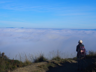 Amazing sea of clouds with Pilgrim on the road to Santiago de Compostela, Camino de Santiago, Way of St. James, Journey from Foncebadon to Ponferrada, French way, Spain