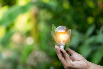 Hand holding light bulb,energy sources for renewable,natural energy concept.