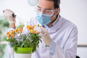 Young male chemist working in the lab