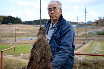 猪を駆除した男性（狩猟免許取得者）