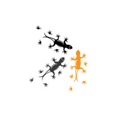 Lizard Chameleon Gecko animall logo and symbol vector illustration