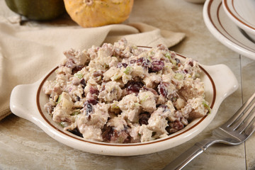 Cranberry apple salad with turkey