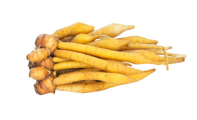 Boesenbergia rotunda isolated on white background.Herbal medicine and food thai concept.