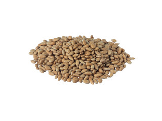 Sunflowers seed organic  isolate on white background. food diet concept.