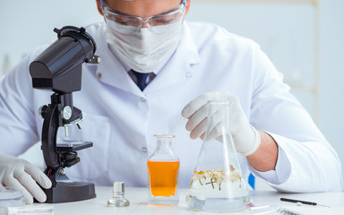 Fototapeta premium Chemist mixing perfumes in the lab