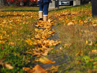  Children walking on the path of fallen leaves