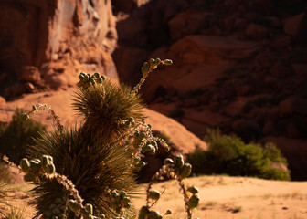 Archaeological Ruins at Canyon de Chelly National Monument, Navajo Nation, Arizona