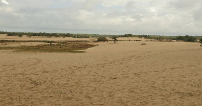Sand dunes of Loonse en Drunense Duinen national Park