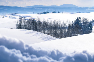 Snow plain of Biei town winter. Hokkaido, Japan.