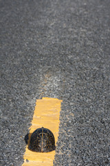 A turtle chooses a dangerous resting place in the middle of the road.