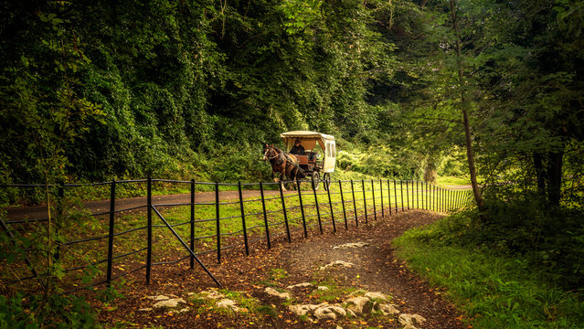 Jaunting Car