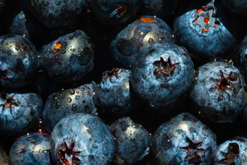 delicious Blueberry, blackberry and pattern, berry background. Summer Autumn healthy concept. Healthy breakfast cooking inspiration.