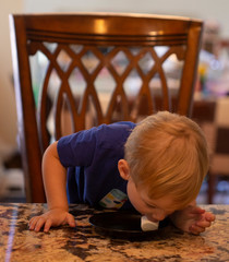 Young child sitting at a table waiting patiently (or not so patiently) for a marshmallow