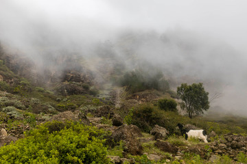 Santa Antao island, Cape Verde