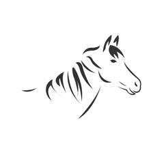Vector image of an horse black and white. design style. animal. art. symbol. logo. Illustrator. on white background.