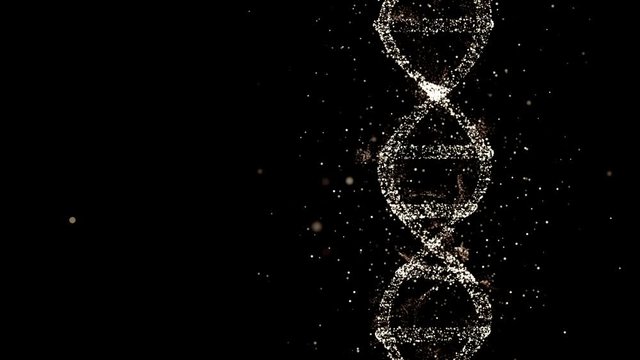 Animated DNA chain model in 3D render, floating on the side of screen with copyspace for additional educational information.