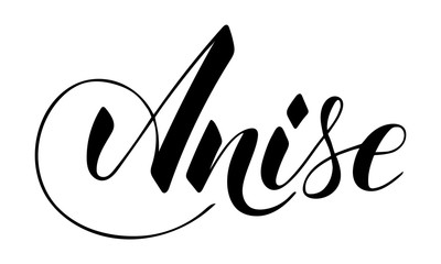 Vector hand written anise text isolated on white background. Kitchen healthy herbs and spices for cooking. Script brushpen lettering with flourishes. Handwriting for banner, poster, product label