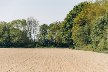 Fototapeta na wymiar Ploughed field under a blue sky. A wide angle shot of a ploughed, tree-lined field.
