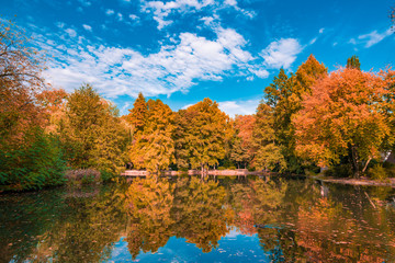 Fototapeta premium Autumn landscape beautiful colored trees