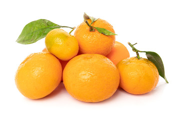 Tangerines with leaves on a white background