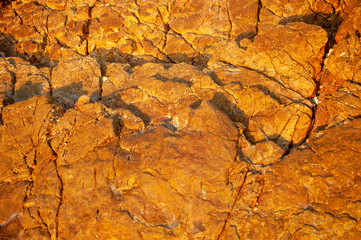 The beach rock