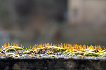 Semur en Auxois in Frankreich