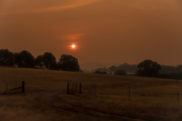 Naklejka na ściany i meble Smokey rural landscape with bright red sun caused by fires in Victoria
