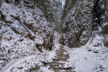 Fototapeta na wymiar Winter landscape in mountains with river and beautifully snowy trees, Slovakia Mala Fatra, Janosikove hole