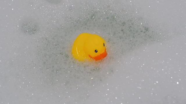 rubber yellow duck toy floats in water in bath with foam