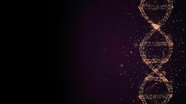 Technology and programming concept. Dna molecule over black background, collecting personal genetic information.