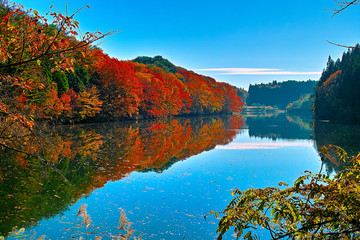 山形市の県民の森にある板橋沼の風景