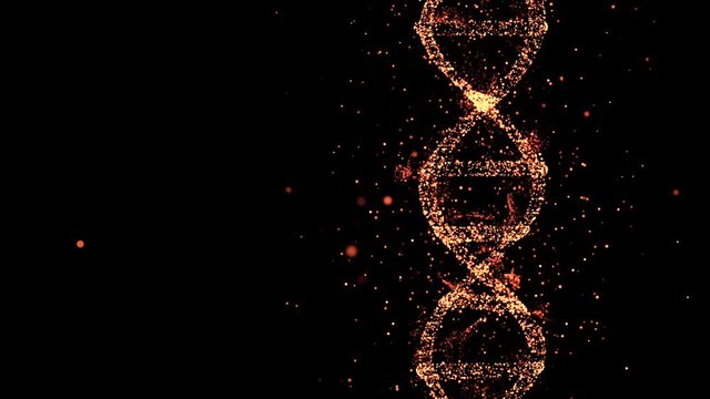 Technology and programming concept. Dna molecule over black background, collecting personal genetic information.